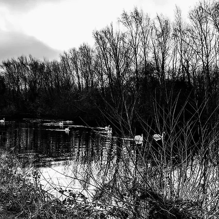 Feriehus Moss Tarn *